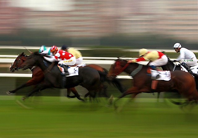 carreras de caballos