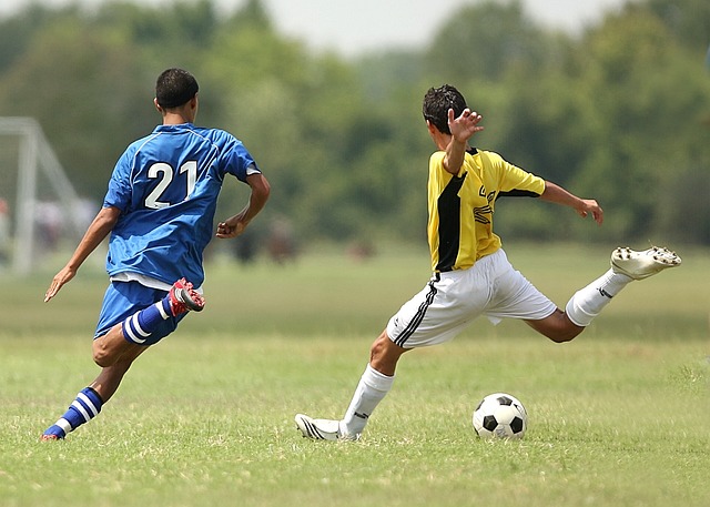 Los mejores campeonatos de fútbol para apostar